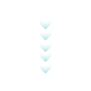 arrow networks